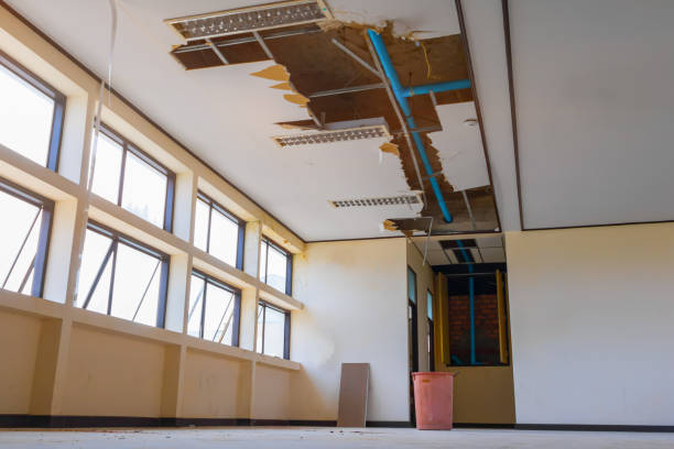 Best Water damage contractors near me  in Eagle, WI