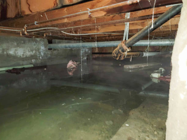 , WI Water damage restoration Company