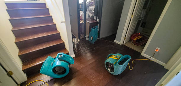 Best Sewage cleanup and water damage restoration  in Eagle, WI