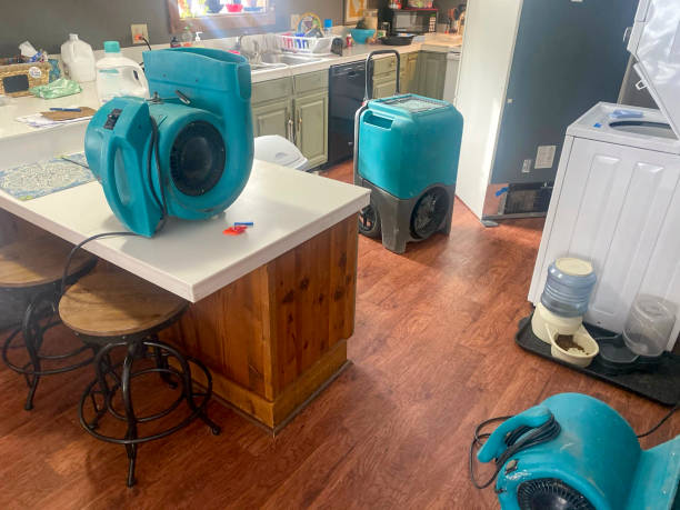 Best Emergency water damage restoration  in Eagle, WI
