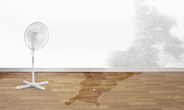 Water damage restoration experts in WI