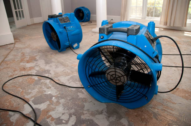 Best Mold removal after water damage  in Eagle, WI