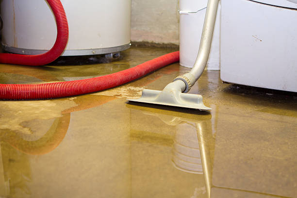 Best Water damage cleanup near me  in Eagle, WI