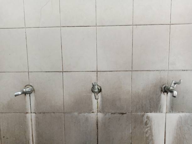 Best Flooded house restoration  in Eagle, WI