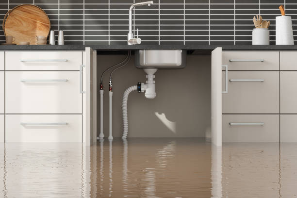 Best 24-hour water damage restoration  in Eagle, WI